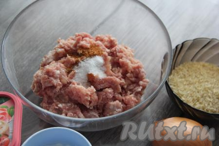 К фаршу добавить специи и соль по вкусу, перемешать.