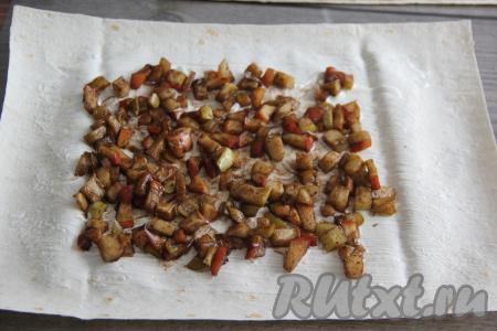 Разделить начинку на две части (мы будем готовить 2 штруделя). Выложить одну часть яблочной начинки на первый смазанный лаваш и разровнять по поверхности, оставляя края пустыми.