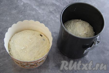 Тесто разделить на части и выложить в формы для куличей, заполняя их на половину объёма (у меня получилось 2 кулича). Оставить формы с тестом на 1 час в тёплом месте, накрыв полотенцем.