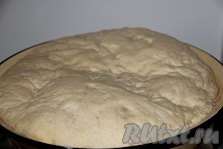 Вот так тесто подымается во время  брожения.