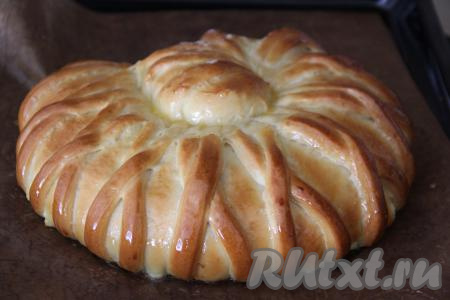 Выпекать дрожжевой пирог с творогом в разогретой духовке минут 45 (до золотистости теста) при температуре 180 градусов. Горячую выпечку вынуть из духовки и смазать мёдом. Дать остыть. Можно перед подачей присыпать сахарной пудрой.