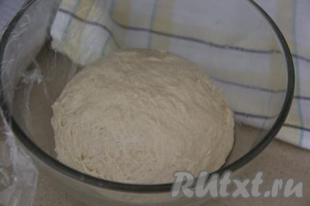 Перемешивать тесто вначале ложкой, а затем, добавляя частями оставшуюся муку, вымесить руками. Вымешивать желательно не менее 15 минут. Тесто должно получиться мягким, не липнущим к рукам. Добавляя муку, ориентируйтесь не на количество муки, а именно на консистенцию замешиваемого теста. Оставить тесто в миске в тепле, накрыв полотенцем (или плёнкой), на 1 час.