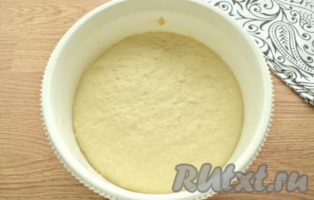 В миску, смазанную маслом, помещаем тесто, накрываем его полотенцем и на 1 час ставим в тёплое место для подъёма (тесто должно увеличиться в объёме раза в 2-3).