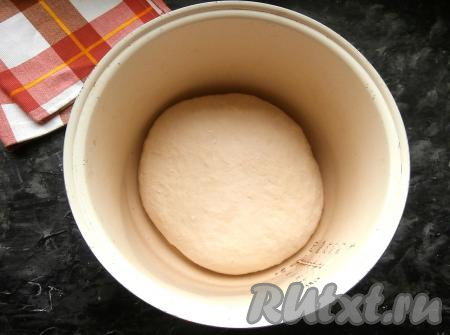 Из замешанного теста сформировать колобок и выложить его в чашу мультиварки, смазанную растительным маслом.