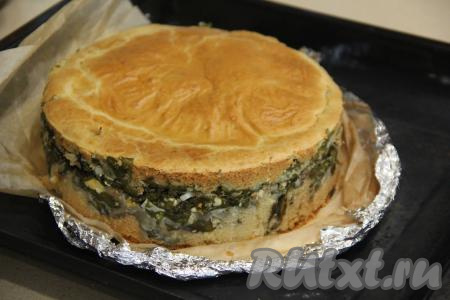 Поставить заливной пирог в разогретую духовку и выпекать минут 45 (до золотистой корочки) при температуре 180 градусов. Готовый пирог с щавелем и яйцами слегка остудить в форме, а затем снять бортики. Нарезать выпечку на кусочки и подать к столу.