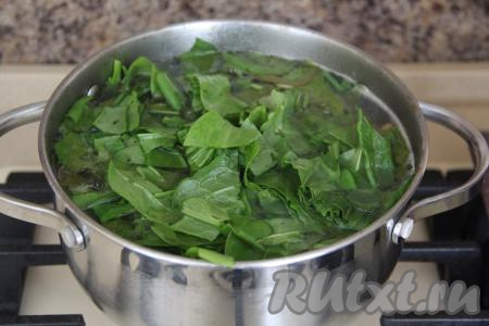 Выложить щавель в кастрюлю и дать щам закипеть.