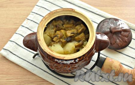 Лучше поставить горшочек на противень, ведь вода будет кипеть и может выплеснуться из горшочка в процессе тушения. Горшочек с картошкой и шампиньонами накрываем крышкой и ставим в разогретую до 200 градусов духовку на 1 час.&nbsp;