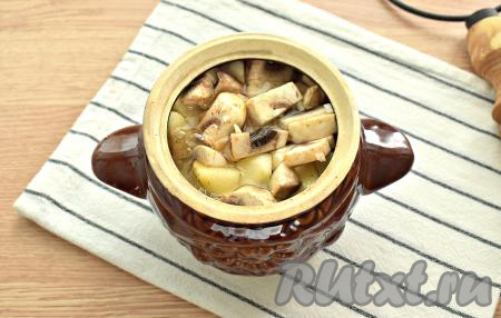 Шампиньоны с картофелем и луком перекладываем в горшочек, заливаем тёплой кипячёной водой (или мясным бульоном). До самого верха горшочек жидкостью можно не заполнять (жидкость должна покрыть картошку не полностью, как на фото).