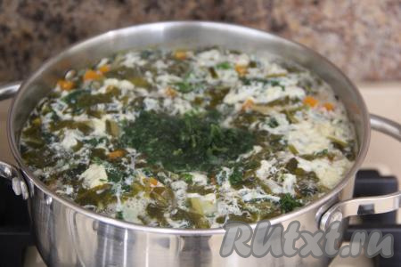 Зелень (укроп, петрушку) промыть, мелко нарезать и добавить в кастрюлю. Перемешать, довести до кипения, снять кастрюлю с огня и дать щам настояться минут 15 под крышкой.