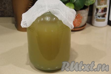 Добавить тёплую воду (температура воды должна быть градусов 38-40), доведя этой водой объём банки до 3 литров. Очень хорошо перемешать, чтобы сахар растворился, накрыть банку марлей. Оставить банку на кухонном столе на 5 часов.