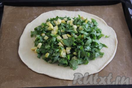 Выложить на тесто, отступая от краёв, начинку из яблок и щавеля.