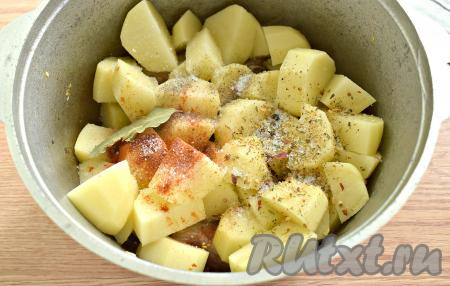 Посыпаем приправой для мясных блюд и молотой паприкой, солим, перчим, добавляем лавровый лист. Вы можете использовать также свои любимые специи и приправы, перемешиваем.