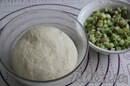 Для приготовления начинки нужно стебли ревеня очистить от тонкой плёнки, покрывающей их поверхность, затем нарезать их на мелкие кубики. К нарезанному ревеню добавить сахар и крахмал, перемешать и начинка для пирожков готова.