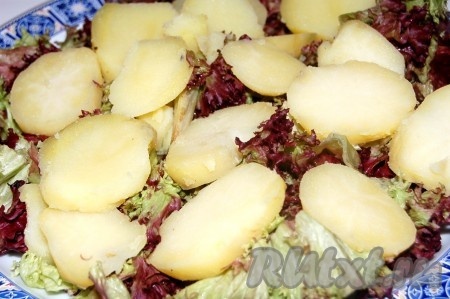 Эта горчичная заправка идеально подойдет для заправки соленой сельди, отварной рыбы, запеченной свинины и ко многим другим блюдам. Такой заправкой очень вкусно заправлять овощные салаты, в состав которых входит теплый картофель. Нарезать овощи (салат листовой, картофель, лук репчатый, лук зеленый, яйца), выложить их на блюдо слоями.