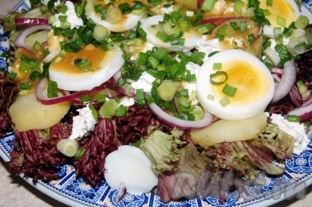 Эта горчичная заправка идеально подойдет для заправки соленой сельди, отварной рыбы, запеченной свинины и ко многим другим блюдам. Такой заправкой очень вкусно заправлять овощные салаты, в состав которых входит теплый картофель. Нарезать овощи (салат листовой, картофель, лук репчатый, лук зеленый, яйца), выложить их на блюдо слоями.