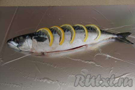  Сделать несколько надрезов на поверхности рыбки. Вставить в надрезы половинки кружочков лимона. Выложить скумбрию на кусок фольги.