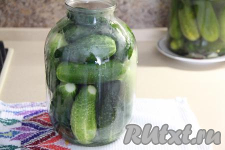 Затем огурчики плотно уложить в банку.