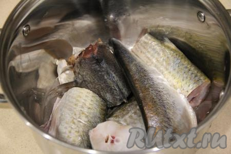 Рыбку очистить от чешуи и внутренностей, головы и плавники нужно отрезать. Нарезать рыбу на крупные кусочки, выложить в кастрюлю. Залить рыбку полностью водой и поставить на огонь.