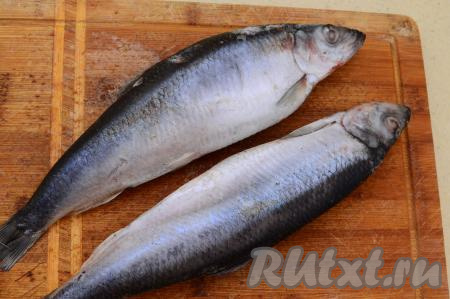 Подготовить рыбу. У меня была замороженная селёдка, перед засаливанием её нужно полностью разморозить (я обычно размораживаю на нижней полке холодильника или при комнатной температуре).