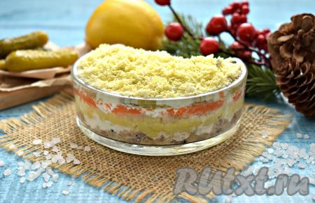 Перед подачей салат "Мимоза", приготовленный с солёными огурцами, ставим на 30-60 минут в холодильник, чтобы слои хорошо пропитались, тогда блюдо получится особенно вкусным и сочным. Уверена, этот аппетитный салат понравится и вам, и вашим близким!