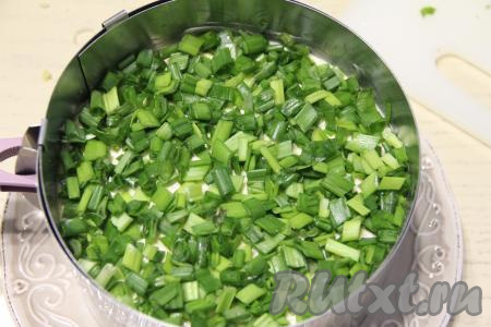 Далее равномерно распределить натёртый на крупной тёрке сыр. Ннанести на сырный слой сеточку из майонеза и утрамбовать слои. Поверх сыра выложить мелко нарезанный зелёный лук. Поставить салат в холодильник на пару часов, чтобы он хорошо пропитался.&nbsp;