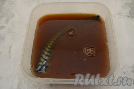 Остывший чайный рассол процедить и перелить в подходящий контейнер или посуду. Я засаливаю в пластиковом контейнере. Выложить в чайный рассол скумбрию. Рыбка должна быть полностью в рассоле.