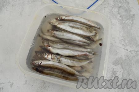 Залить мойву рассолом комнатной температуры так, чтобы он полностью покрывал рыбку.