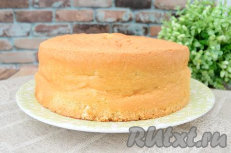 Вот каким высоким, пышным получился французский бисквит, приготовленный из теста, замешанного на воде с яйцами. Высота бисквита составила 5,5 сантиметров.