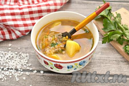 Вкусный, в меру густой, сытный рассольник с овсяными хлопьями разливаем по тарелкам и, дополнив, по желанию, сметаной, подаём к столу.