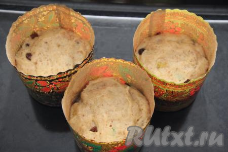 Обмять тесто и разложить по формам, заполняя их на 2/3 объёма. Я разместила всё тесто в 3 бумажные формы для куличей среднего размера. Оставить тесто в формах на 1 час, накрыв полотенцем.