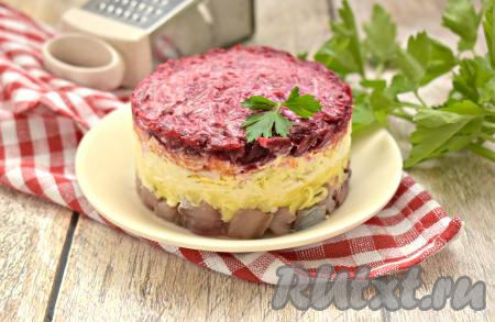 Чтобы салат был сочным, на 30-50 минут убираем его для пропитки слоёв в холодильник. А затем снимаем сервировочное кольцо и подаём к столу аппетитный, очень вкусный салат "Селёдка под шубой", приготовленный с плавленным сыром.