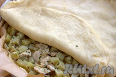 На тесто, выложенное в форму, равномерно разложить начинку из курицы и картошки. Накрыть вторым раскатанным пластом теста.
