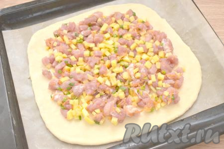 Охлаждённое тесто делим на две части. Одна часть должна быть чуть больше - это будет основание курника. Раскатываем большую часть теста в круглую или овальную заготовку (примерный диаметр 28 сантиметров), выкладываем на противень, застеленный специальным листом для выпечки (или пергаментом). Распределяем по тесту начинку, отступая от краёв теста по 2 сантиметра.