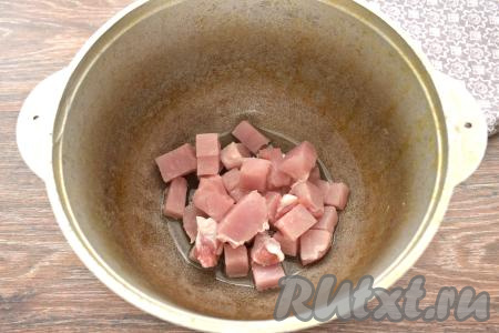 Мясо (у меня - свинина) моем, обсушиваем, нарезаем на небольшие кусочки шириной примерно 1,5-2 сантиметра. В казан (или в кастрюлю с толстым дном, или в сковороду с высокими бортиками) наливаем растительное масло и хорошо его разогреваем, затем выкладываем кусочки мяса и обжариваем их на среднем огне в течение 7-9 минут (до лёгкой румяной корочки), периодически помешивая.