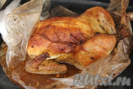 Затем курицу, замаринованную в аджике с майонезом, выложить в рукав для запекания. Завязать рукав с двух сторон. Поместить рукав с курицей в форму для запекания (или на противень). На поверхности рукава зубочисткой сделать несколько проколов. Запекать курицу в рукаве в разогретой духовке при температуре 200 градусов 1 час 30 минут. После этого достать рукав из духовки и аккуратно разрезать его. При помощи деревянной зубочистки проверить готовность курицы, проткнув её ножом в нескольких местах (если из проколов вытекает прозрачный сок без розовых вкраплений, значит наша курочка готова).