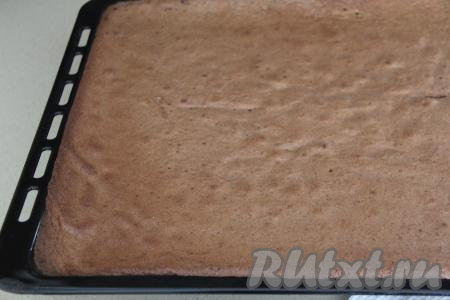 Небольшой противень (или форму для выпечки) застелить пергаментом, затем вылить тесто, равномерно распределяя его, и поставить в разогретую до 180 градусов духовку. Выпекать шоколадный бисквит минут 20. Готовность проверить, проколов бисквит сухой зубочисткой (если зубочистка и после прокалывания бисквита останется сухой, без следов теста, значит выпечка готова). Готовый шоколадный бисквит достать из духовки, дать ему полностью остыть.