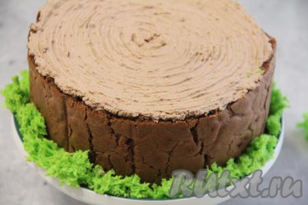 Покрыть верх торта кремом. Я сделала сверху рельеф среза пенька, украсила его цветным бисквитным мхом.