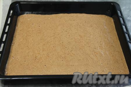 Застелить противень (у меня противень размером 50 сантиметров на 45 сантиметров) пергаментом (или ковриком для выпечки), выложить тесто и разровнять.