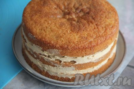 Верхний корж кремом смазывать не нужно. Оставшийся крем убрать в холодильник, он нам понадобится для оформления кофейного торта "Мокко". Убрать собранный торт в холодильник на ночь для пропитки. Я перед помещением торта в холодильник зажала его в разъёмную форму, чтобы он имел идеальную форму.