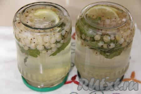 В банки с белой смородиной, мятой и лимоном влить горячий сироп. Сразу закрутить банки с компотом крышками, перевернуть кверху дном, укутать со всех сторон в одеяло и в таком виде оставить до полного остывания. Полностью остывшие банки убрать на хранение в погреб, кладовку или другое прохладное место.