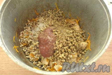 Добавляем томатный соус, по вкусу солим и посыпаем молотыми специями (я использовала универсальную приправу).