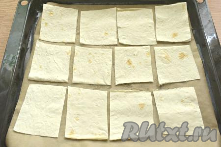 Застилаем противень пергаментом (или специальным листом для выпечки). Выкладываем кусочки лаваша в один слой (я готовила в 3 захода чипсы).