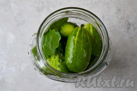 Заполните банку огурцами до самого верха, чередуя их с листьями дуба.