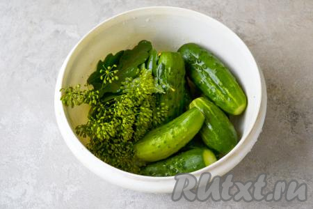 Тщательно вымойте огурцы, листья дуба и зонтики укропа. У огурцов отрежьте кончики с двух сторон.