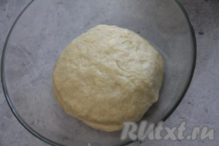 Вымесить тесто руками до гладкого состояния. Оставить колобок теста в миске, накрыв полотенцем, на 1 час.