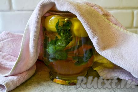 Кипящий яблочный сироп влейте в банку, заполняя её до самого верха. Закройте банку с компотом крышкой, поставьте вверх дном (банка переворачивается для того, чтобы проверить герметичность закрытия), хорошо укутайте в тёплое полотенце (или в одеяло, или в плед) и оставьте на сутки для постепенного остывания компота.