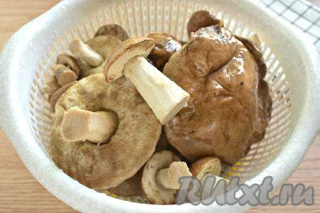 Тщательно промываем грибы под проточной водой, обязательно очищаем ножки с помощью ножа.