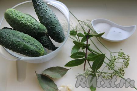 Подготовить продукты для приготовления малосольных огурцов в горячем рассоле в банке. Огурцы, мяту и укроп вымыть. Почистить зубчики чеснока и нарезать на пластины.