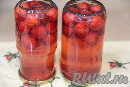 Влить горячий сироп в банки с райскими яблоками, сразу закрутить крышки. Перевернуть банки с компотом вверх дном, укутать в одеяло и оставить до полного остывания, а затем можно убирать на хранение. Этот компотик можно хранить не более года, так как яблоки берутся вместе с косточками.