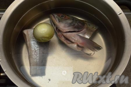 Очистить среднего размера луковицу. В кастрюлю выложить лук, подготовленные голову горбуши и хвост, влить 2,5 литра воды, поставить на огонь.